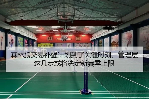 森林狼交易补强计划到了关键时刻，管理层这几步或将决定新赛季上限
